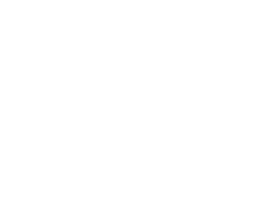 5 Target White